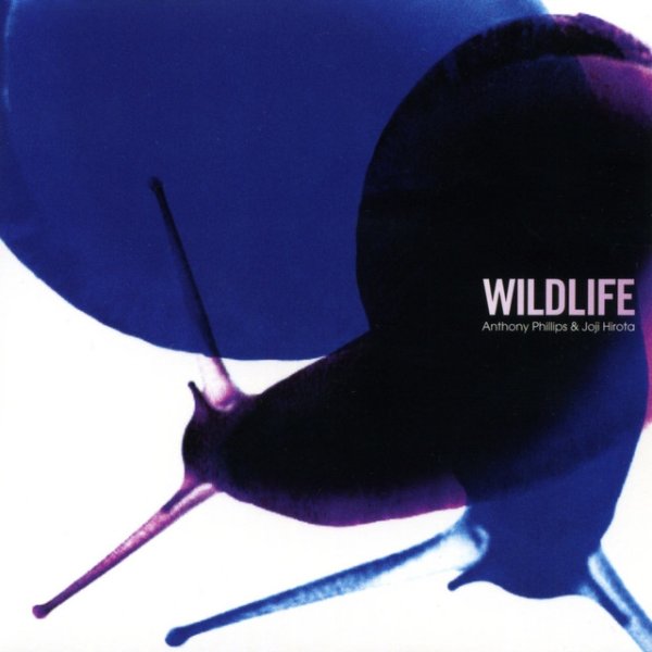 Album Anthony Phillips - Wildlife (2023 Remaster)