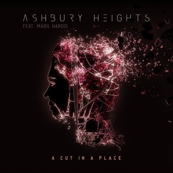 Ashbury Heights A Cut in a Place, 2022