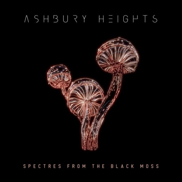 Album Ashbury Heights - Spectres from the Black Moss