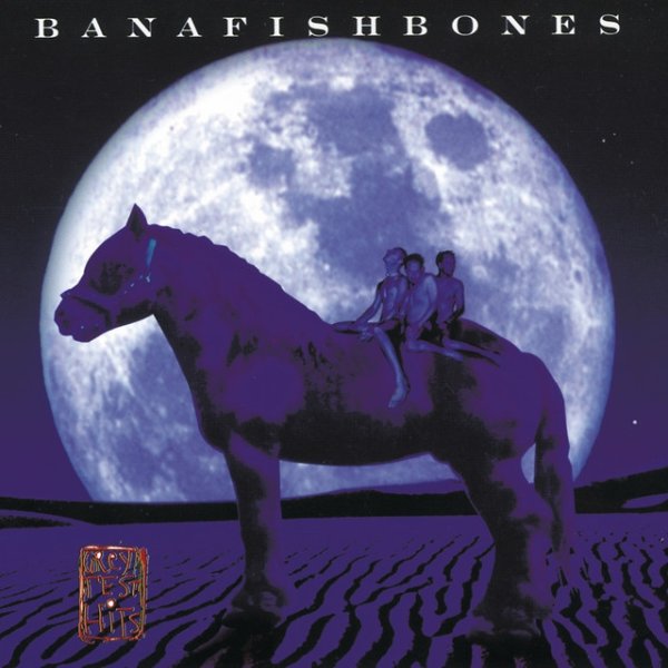 Album Bananafishbones - Grey Test Hits