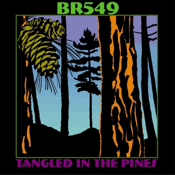 Tangled In The Pines Album 