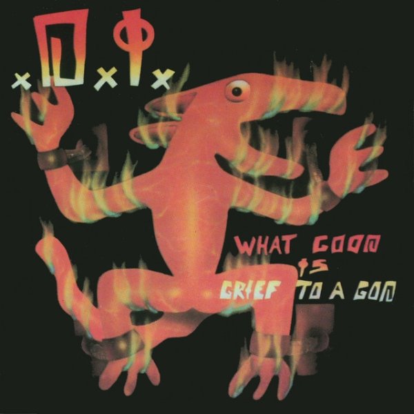Album D.I. - What Good is Grief to a God?