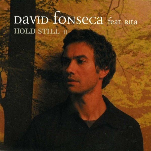 Album David Fonseca - Hold Still II