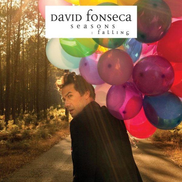 Album David Fonseca - Seasons - Falling