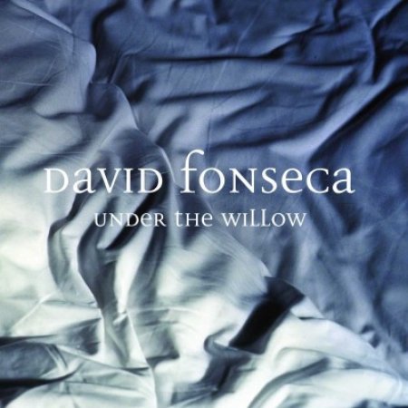 Album David Fonseca - Under The Willow