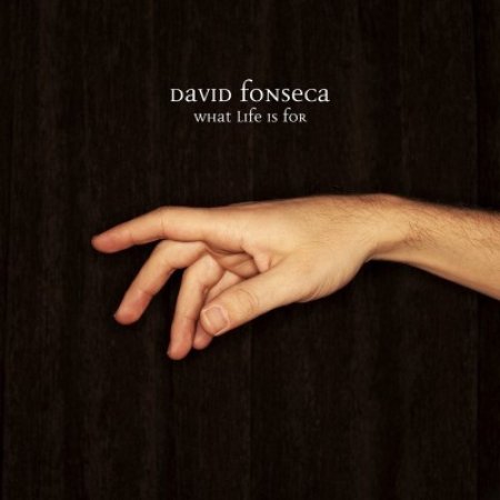 Album David Fonseca - What Life Is For