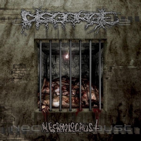 Album Disgorge - Necrholocaust