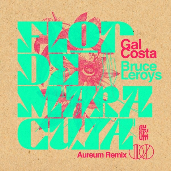 Album Gal Costa - Flor De Maracujá