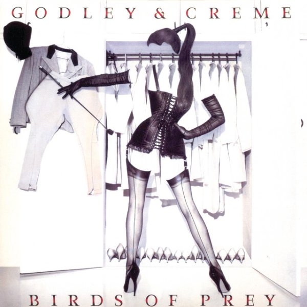 Album Godley & Creme - Birds Of Prey