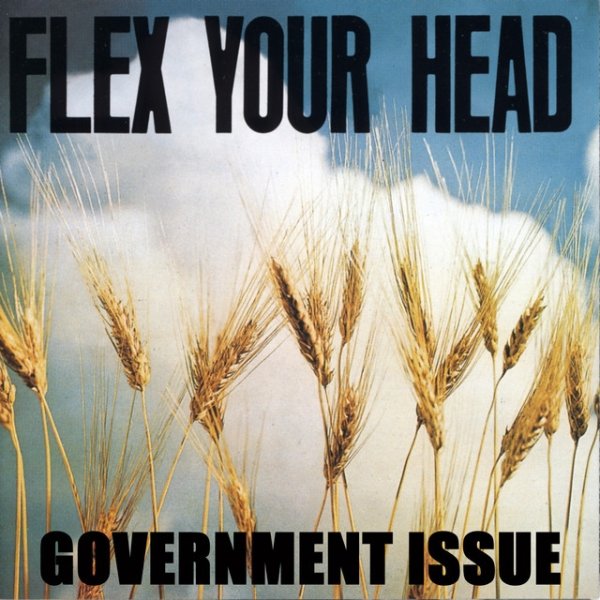 Album Government Issue - Flex Your Head