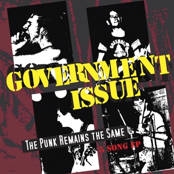 Album Government Issue - The Punk Remains the Same