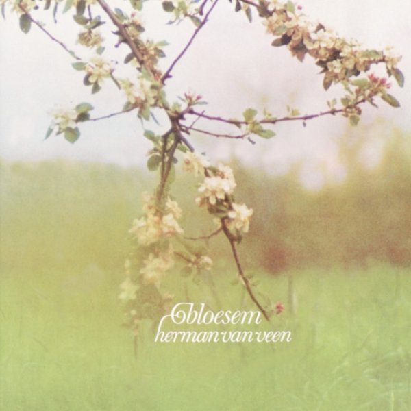 Bloesem - album