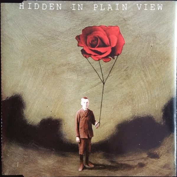 Album Hidden in Plain View - Bleed For You