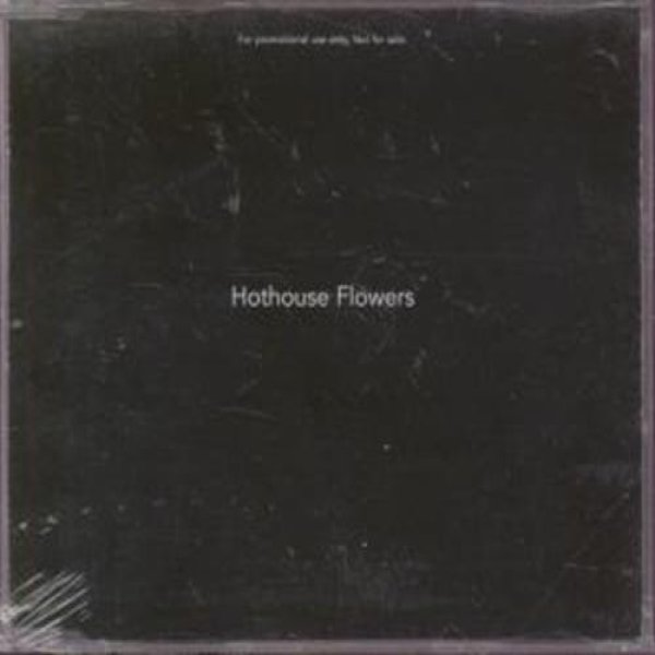 Album Hothouse Flowers - Hothouse Flowers
