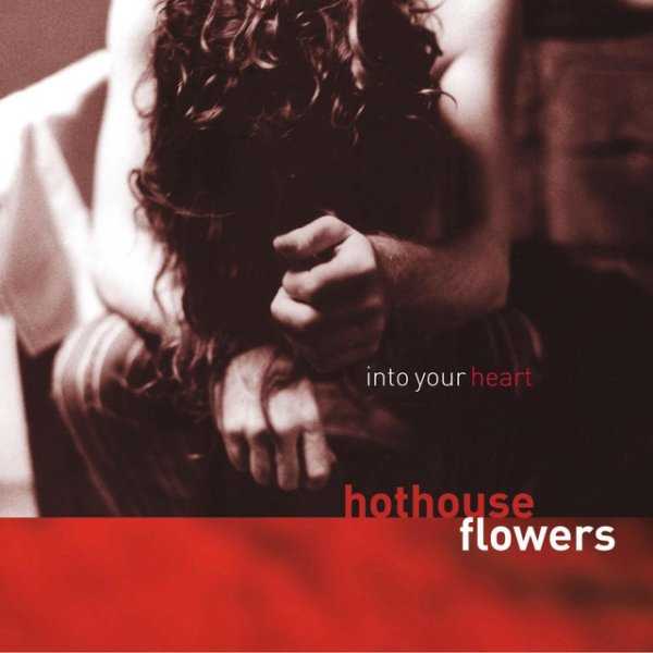 Album Hothouse Flowers - Into Your Heart