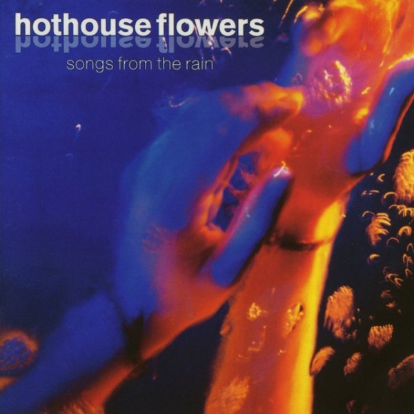 Hothouse Flowers Songs from the Rain, 1993
