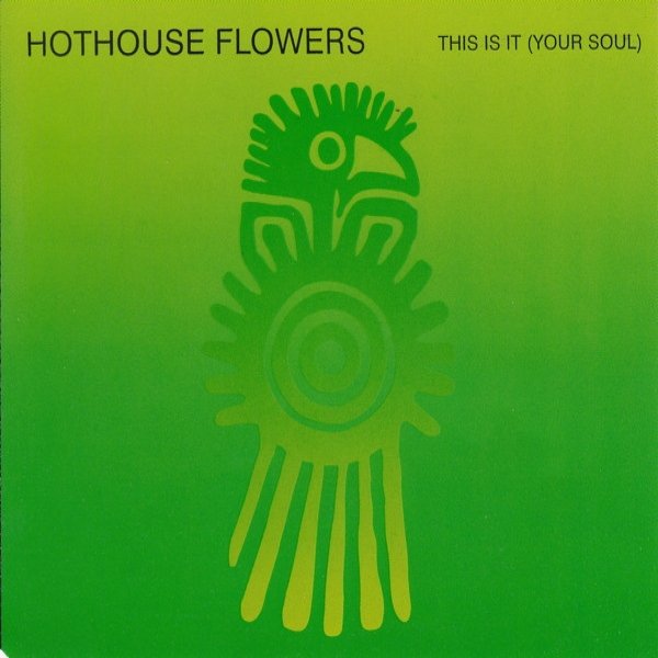Album Hothouse Flowers - This Is It (Your Soul)