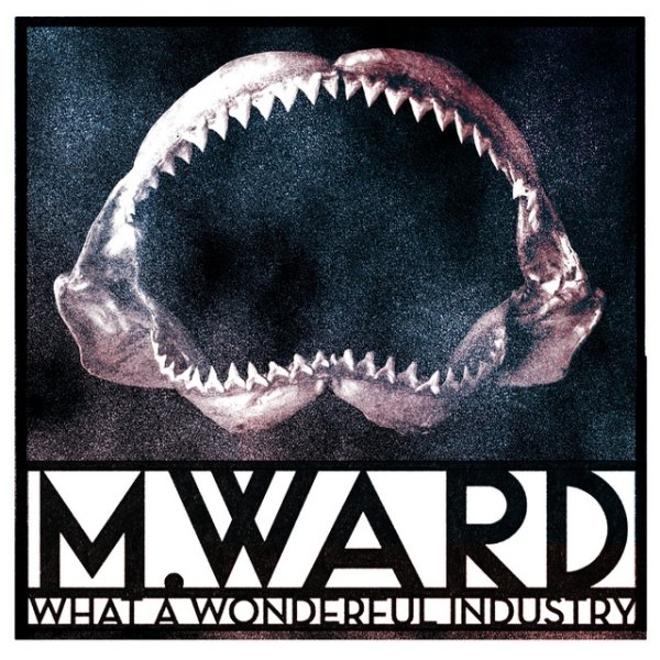 Album M. Ward - What a Wonderful Industry