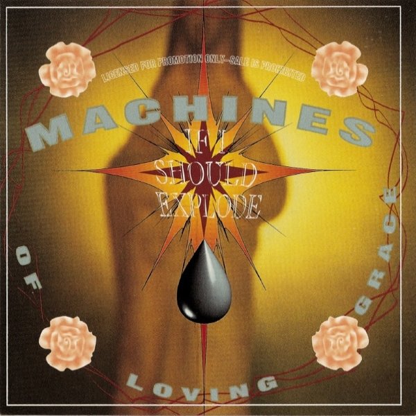 Machines of Loving Grace If I Should Explode, 1994