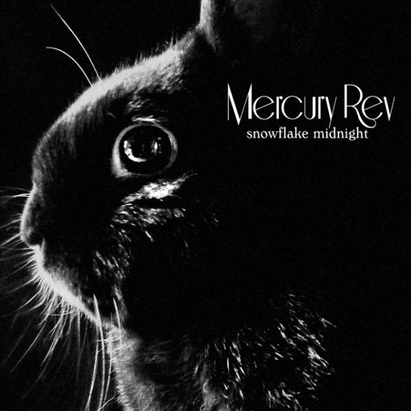Album Mercury Rev - Snowflake Midnight