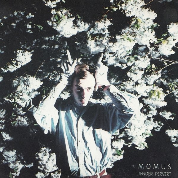 Album Momus - Tender Pervert