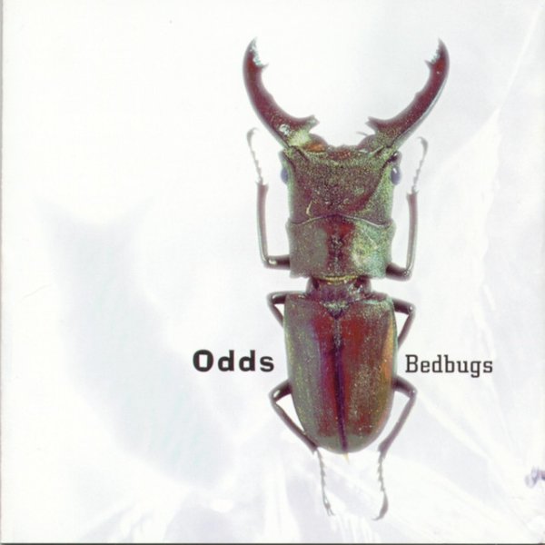Bedbugs - album
