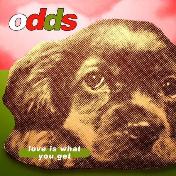 Album Love Is What You Get - Odds