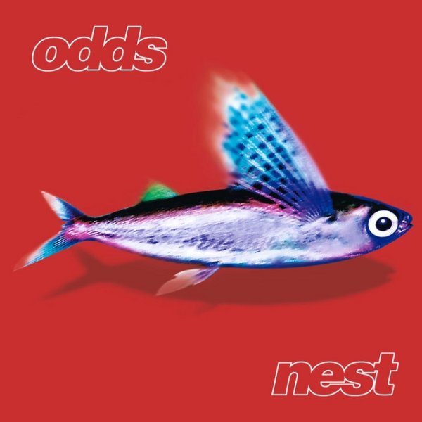 Album Nest - Odds