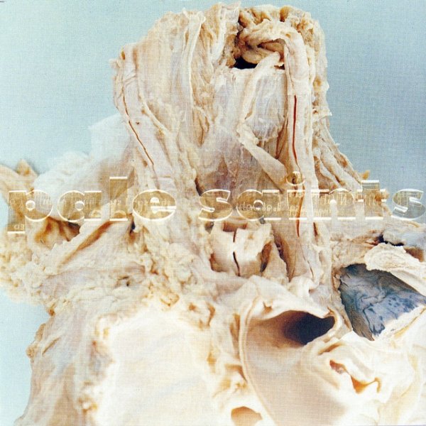 Pale Saints In Ribbons, 1992