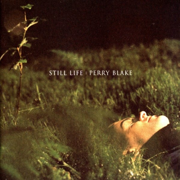Album Perry Blake - Still Life