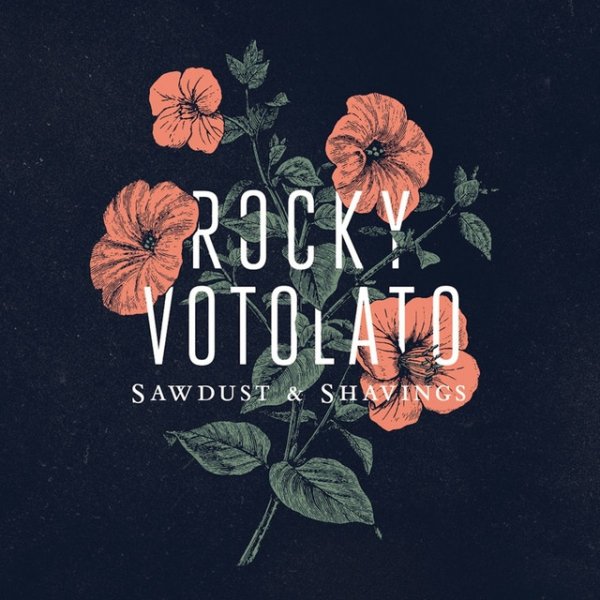 Album Rocky Votolato - Sawdust & Shavings