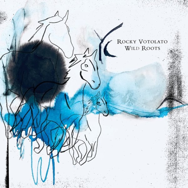 Album Rocky Votolato - Wild Roots