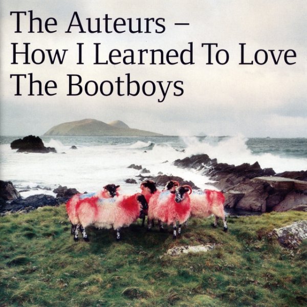 Album The Auteurs - How I Learned To Love The Bootboys