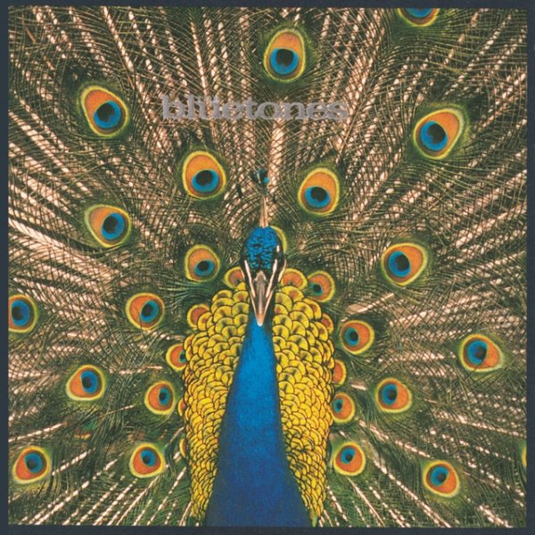 Album The Bluetones - Expecting To Fly
