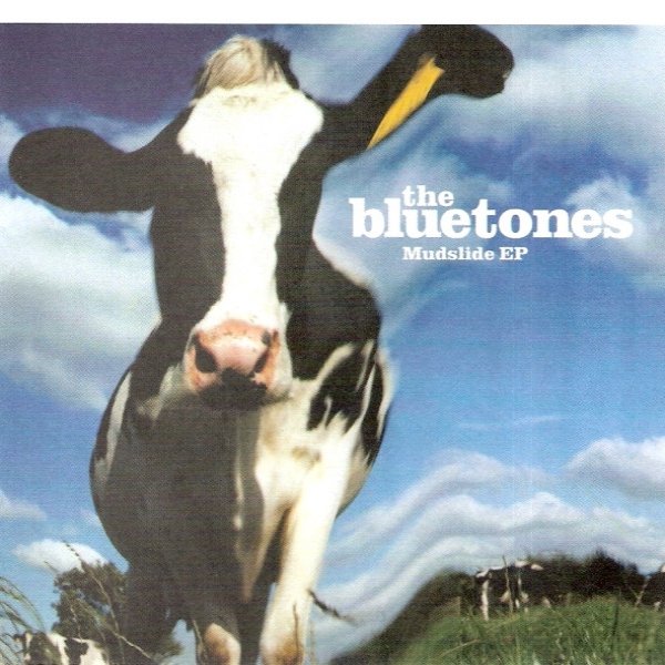 Album The Bluetones - Mudslide