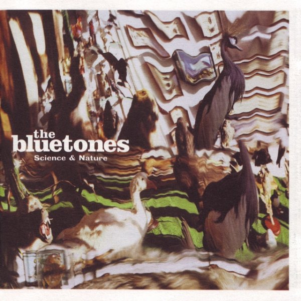 Album The Bluetones - Science & Nature