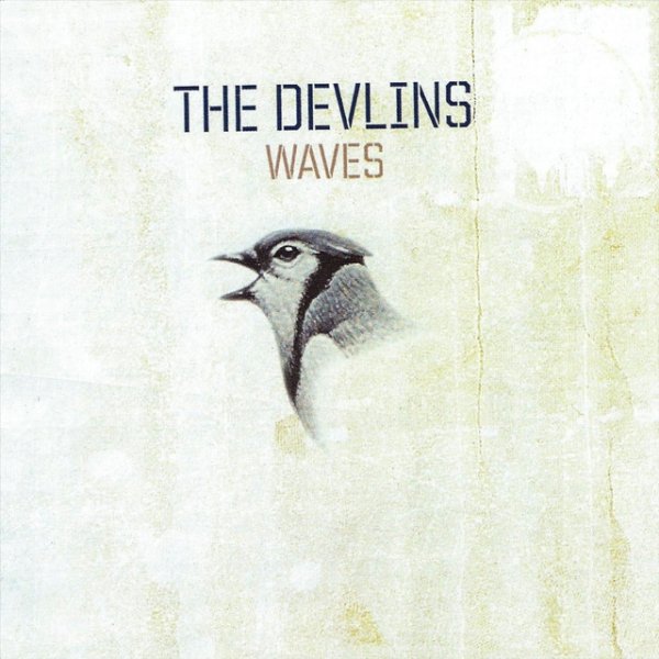 Album The Devlins - Waves