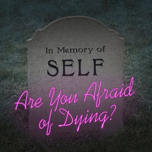 Album The Good Life - Are You Afraid of Dying?