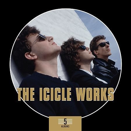 The Icicle Works 5 Albums, 2013