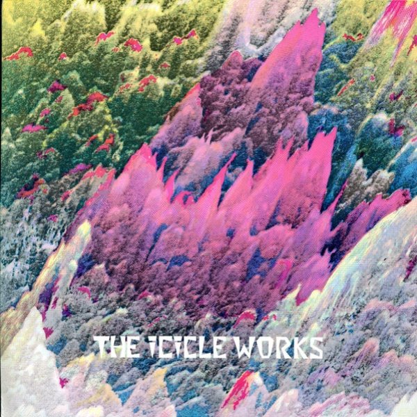 Album The Icicle Works - Birds Fly (Whisper To A Scream)