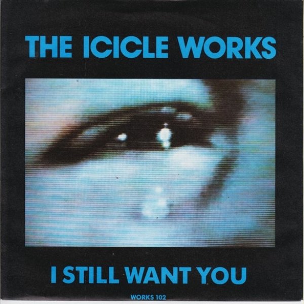 The Icicle Works I Still Want You, 1990