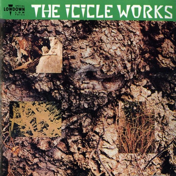 Album The Icicle Works - The Icicle Works