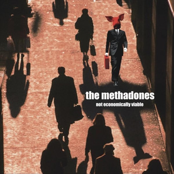 Album The Methadones - Not Economically Viable