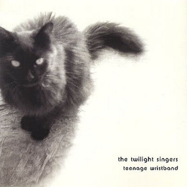 Album The Twilight Singers - Teenage Wristband