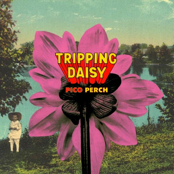 Album Tripping Daisy - Pico Perch