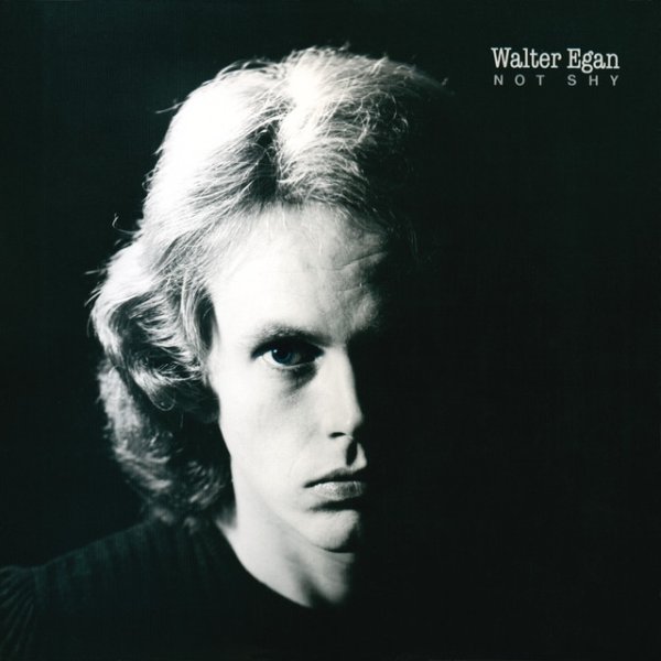 Album Walter Egan - Not Shy