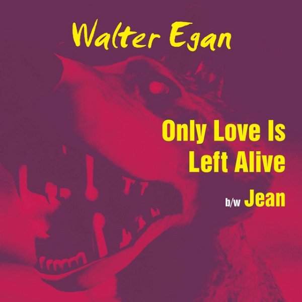 Album Walter Egan - Only Love Is Left Alive