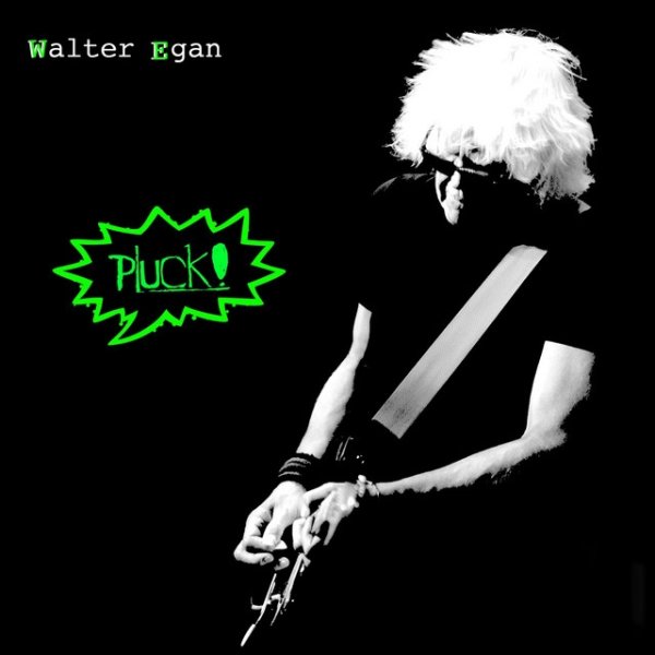 Album Walter Egan - Pluck!
