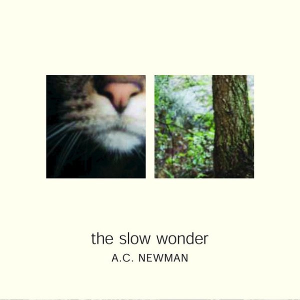Album A.C. Newman - The Slow Wonder