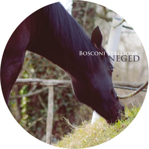 Album A Guy Called Gerald - Bosconi Stallions - Neged
